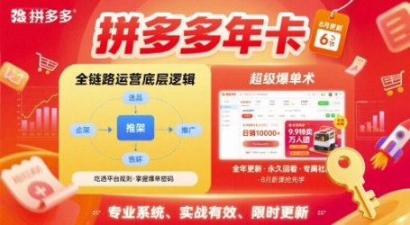 拼多多年卡【8月更新6节】拼多多全链路运营底层逻辑,超级爆单术