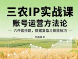 三农IP实战课：账号运营方法论，六件套搭建，数据复盘与投放技巧