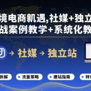 跨境电商新机遇，社媒+独立站，实战案例教学+系统化教学
