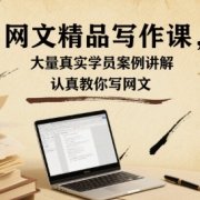 网文精品写作课，大量真实学员案例讲解，认真教你写网文