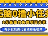 0学费0风险，2025风口项目，无脑免费撸，代发纯绿色视频，一部手机人人可做【揭秘】