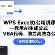 WPS Excel办公精讲课，教用 AI 生成公式，VBA 代码，助力高效办公
