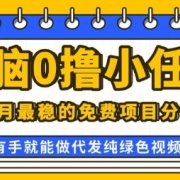 0学费0风险，2025风口项目，无脑免费撸，代发纯绿色视频，一部手机人人可做【揭秘】