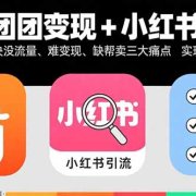 快团团变现+小红书引流:解决没流量、难变现、缺帮卖三大痛点 实现月入3w+