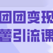 葡萄·快团团变现及红薯引流课程