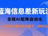 蓝海信息差新玩法，全程AI矩阵自动化小白可以操作当天搞了1k+