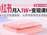 小红书月入1W+变现课程:掌握小红书流量密码,从养号到带货全流程盈利