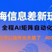 蓝海信息差新玩法，全程AI矩阵自动化小白可以操作当天搞了1k+