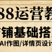 辉哥·1688高级运营课程