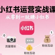 小红书运营实战课，从零到一玩賺小红书