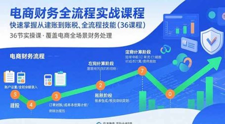 电商财务全流程实战课程:快速掌握从建账到报税的全流程技能(36节课