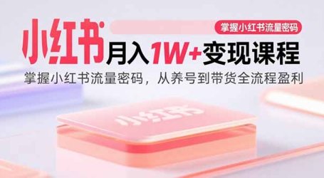小红书月入1W+变现课程:掌握小红书流量密码,从养号到带货全流程盈利