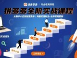 拼多多全阶实战课程，从新手小白到运营高手，海量实战玩法+全年实时更新【2025年9月更新】