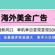 最新海外广告美金，全自动挂机，单机单日500+，可矩阵放大，新手小白轻…