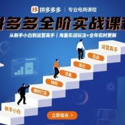 拼多多全阶实战课程，从新手小白到运营高手，海量实战玩法+全年实时更新【2025年9月更新】
