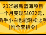 2025最新蓝海项目一个月变现1w+新手小白也能轻松上手【附全套指令】