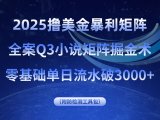 2025撸美金暴利矩阵，全案小说矩阵掘金术，零基础单日流水破3000+