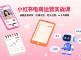 小红书电商运营实战课:涵盖直播带货、店铺运营、笔记运营、AI工具赋能
