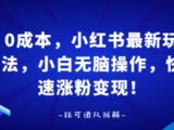 0成本，小红书最新玩法，小白无脑操作，快速涨粉变现