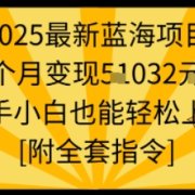 2025最新蓝海项目一个月变现1w+新手小白也能轻松上手【附全套指令】