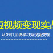 杨磊老师·2025短视频变现实战课