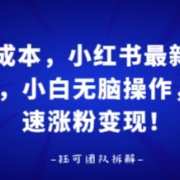 0成本，小红书最新玩法，小白无脑操作，快速涨粉变现