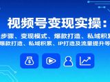 视频号变现实操,含开通步骤、变现模式、爆款打造、私域积累、IP打造及流量提升等