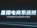 直播电商系统班,同领域差异化运营进阶系统课