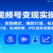 视频号变现实操,含开通步骤、变现模式、爆款打造、私域积累、IP打造及流量提升等