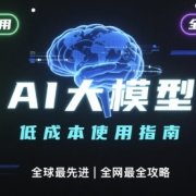 如何低成本使用全球最先进AI大模型,全网最全指南