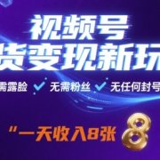 视频号带货变现新玩法，无需露脸，无需粉丝，无任何封号风险，一天收益8张【揭秘】