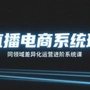 直播电商系统班,同领域差异化运营进阶系统课