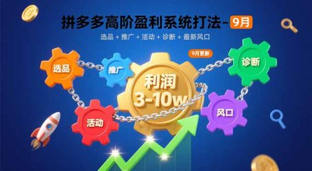 拼多多高阶盈利系统打法-9月:选品+推广+活动+诊断+最新风口,月利润3-10w