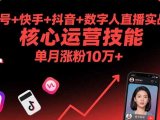 视频号+快手+抖音+数字人直播实战课(9月