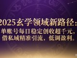 2025玄学领域新路径:单账号每日稳定创收1k+,借私域精准引流,低调盈利