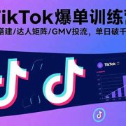 TikTok爆单训练营，店铺搭建/达人矩阵/GMV投流，单日破千单实操