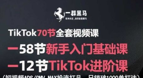 TikTok全套视频课，新手入门+进阶课，短视频ADS-GMV MAX投流打品，日销破1000单打法