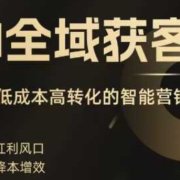 AI全域获客实训营,2025低成本高转化的智能营销,精准找客,高效营销