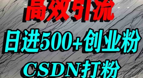 怎么打创业粉?CSDN又一个你不知道的打粉引流神秘平台,单人日引500+精准流量