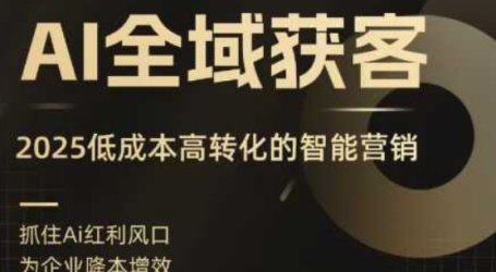 AI全域获客实训营,2025低成本高转化的智能营销,精准找客,高效营销