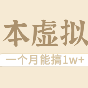 相当暴利的虚拟资源项目,无需成本一个月能搞1w+