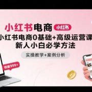 小红书电商0基础+高级运营课，新人小白必学方法，实操教学+案例分析