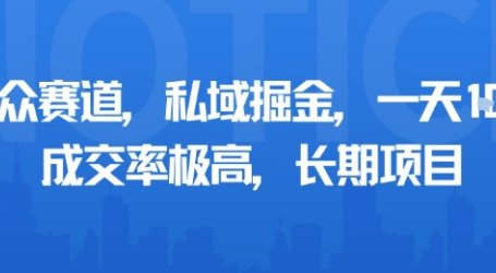 小众赛道，私域掘金，一天多张，成交率极高，长期项目