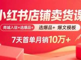小红书店铺卖货课：商城入驻+选爆品+爆文模板，7天首单月销10万+
