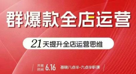贾真电商群爆款全店运营，21天提升全店运营思维，起店、全店运营爆款不断