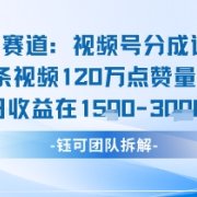 视频号分成计划新赛道玩法,单条收益突破了120W,综合收益在3k上下