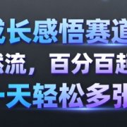 成长感悟赛道，纯自然流，百分百起号率 一天轻松多张
