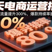 21天电商运营指南:21天内店铺流量提升300%,爆款持续率提升80%