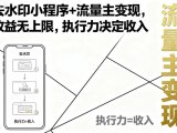 去水印小程序+流量主变现，收益无上限，执行力决定收入