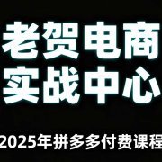老贺电商2025年拼多多付费课程,用通俗易懂的方法告诉你多多怎么玩